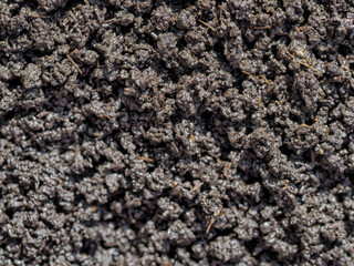 Bio humus texture earth. Composting waste worms