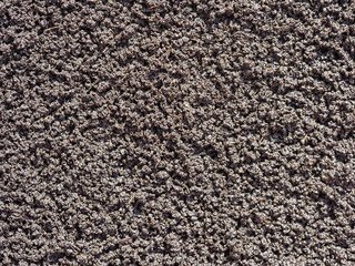 Bio humus texture earth. Composting waste worms