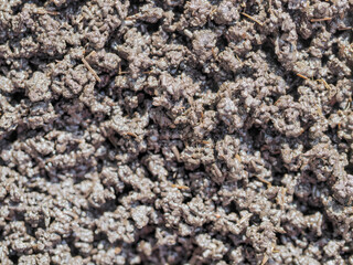 Bio humus texture earth. Composting waste worms