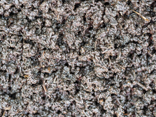 Bio humus texture earth. Composting waste worms