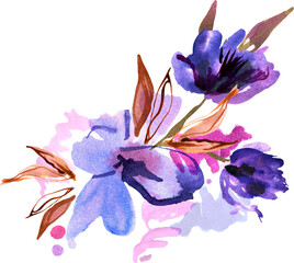 Fototapeta na wymiar Purple watercolor floral hand painted illustration
