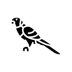 rainbow lorikeet bird exotic glyph icon vector. rainbow lorikeet bird exotic sign. isolated symbol illustration