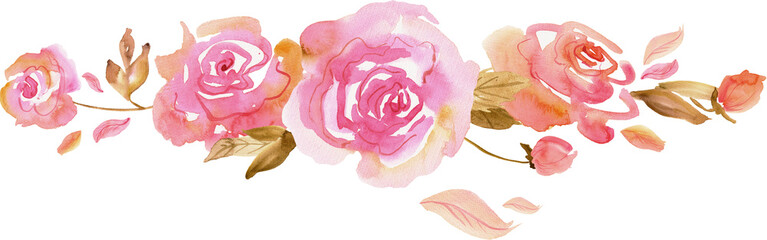 Watercolor pink rose. Hand painted illustration