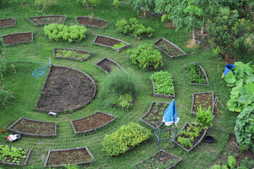 Ariel view of designed green garden for vegetable growing.