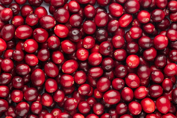 Cranberry bio background, food background.