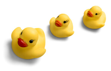 Rubber Ducks Family