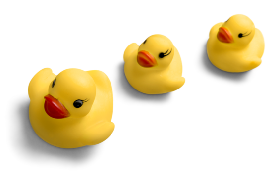 Rubber Ducks Family