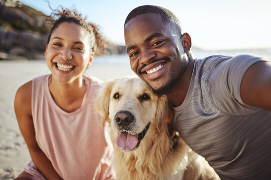 Summer, couple and dog on beach selfie in Canada sun with happiness, love and care for pet. Black people, holiday and happy ocean photograph break together with healthy domestic animal.