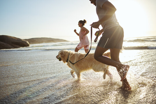 Running, dog and beach with a black couple and pet in the water while on holiday or vacation by the coast. Sand, travel and animal with a man, woman and canine in the ocean or sea during summer