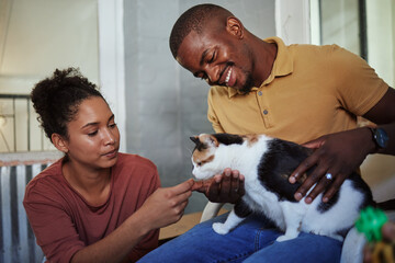 Happy black couple, love and cat in home, playing or bonding. Support, care or interracial couple,...