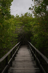 Fototapeta na wymiar Wooden plank in Galapagos