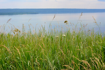 green grass on the edge of the hill with Volga river on background in cloudy day