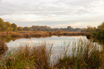 Landscape, autumn colors, small river / warm tones