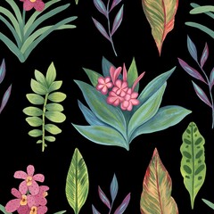 A pattern of tropical plants. Seamless background of various tropical leaves and flowers. Hand-drawn	