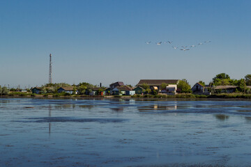 Naklejka premium Coastal settlement landscape photo. Beautiful nature scenery photography with village houses on background. Idyllic scene. High quality picture for wallpaper, travel blog, magazine, article