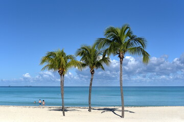 Idyllic tropical beach with palm trees, white sand and  blue water.
