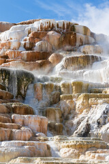Mammoth hot springs at Yellowstone national park. USA.