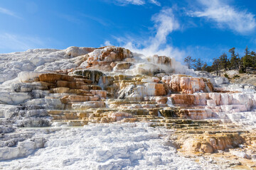 Fototapeta na wymiar Mammoth hot springs at Yellowstone national park. USA.