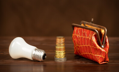 Light bulb with wallet and euro money coins. Energy savings, efficiency, save power or energy...