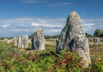 Alignements de Carnac - Landscape Prehistoric Stones of Carnac