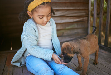 Child, puppy dog and smell hand for trust, friendship and love of new, domestic animal adoption and...