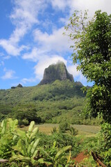 Fototapeta premium pain de sucre