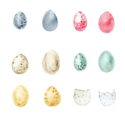 Hand drawn watercolor Easter eggs set . Different egg color.  It's perfect for greeting cards, wedding invitation, birthday and Easter, Spring cards. Watercolor botanical illustration isolated 
