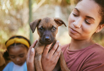 Dog, woman and hands holding puppy in love for adoption, life or bonding by animal shelter. Happy...