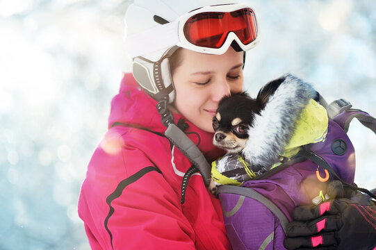 Close-up picture of a young woman in a skiing helmet with her kittle chihuahua