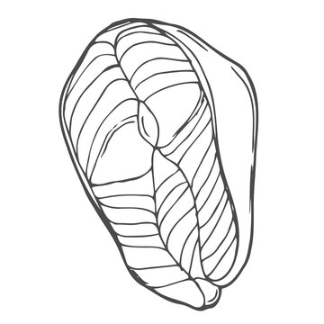 recommend clip art: Vector illustration of red fish steak. Linear trout steak. Hatch. Hand drawing. for cafes, restaurants, menus. Salmon, chum salmon, trout. Illustration on a white isolated background