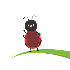 ladybug vector. ladybug on white background. wallpaper. symbol.