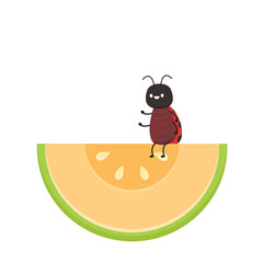 Ladybug vector. Ladybug on white background. wallpaper. melon vector.