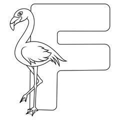 Illustration of F letter for Flamingo