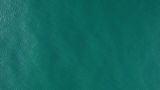 A red sea buoy in the center of the azure sea.