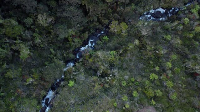 River follow through Mt Wilhelm, Papua New Guinea.