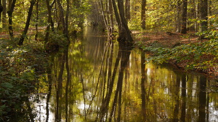 Fototapeta premium Naherholungsgebiet, Naturschutzgebiet, Wanderweg an der Schwalm, Nähe niederländische Grenze