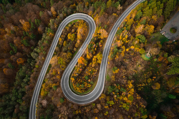 Colourful winding road with many curves surrounded by a deciduous woodland with pine trees. Aerial view looking down in europe.