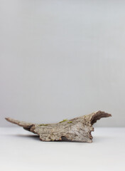 empty bark of tree podium minimalism on grey background. Copy space, place for text. vertical photo