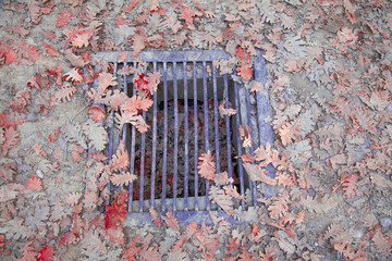 Storm sewer grate clogged with leaves. Flooding prevention, surface water runoff and public...