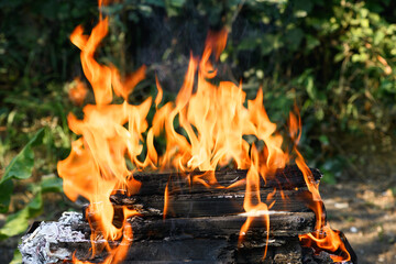 Brazier with burning wood in nature close-up.  Flames in brazier. Preparing to cook food on fire