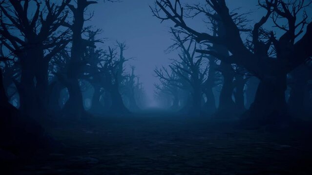 Moving through a haunted forest at night with bare trees and heavy fog.