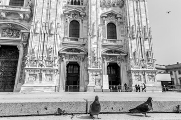 Pigeons in front of the Duomo di Milano, The Milan Cathedral in Milan, Lombardy, Italy