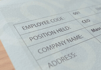 Paycheck Employee Details