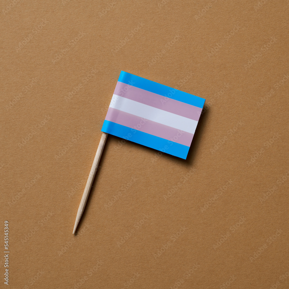 Sticker transgender pride flag on a brown background