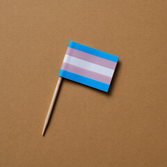 transgender pride flag on a brown background - obrazy, fototapety, plakaty