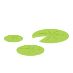 Drop of water on Lily pad. Lily pad vector. wallpaper. free space for text.