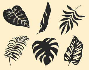 Fototapeta na wymiar Set of vector silhouettes of bright tropical leaves. Isolated on a white background. Drawing sketches of leaves. Silhouettes of tropical leaves. Tropical palm leaves.