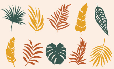 Set of vector silhouettes of bright tropical leaves. Isolated on a white background. Drawing sketches of leaves. Silhouettes of tropical leaves. Tropical palm leaves.