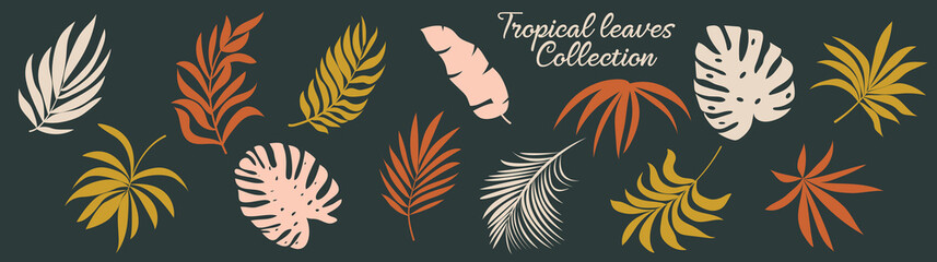 Set of vector silhouettes of bright tropical leaves. Isolated on a white background. Drawing sketches of leaves. Silhouettes of tropical leaves. Tropical palm leaves.