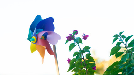 Colorful wind wheel in the garden. Wind spinner with rainbow colors. Decorative garden objects